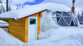 Igloo in the Woods - new, warm and inspiring